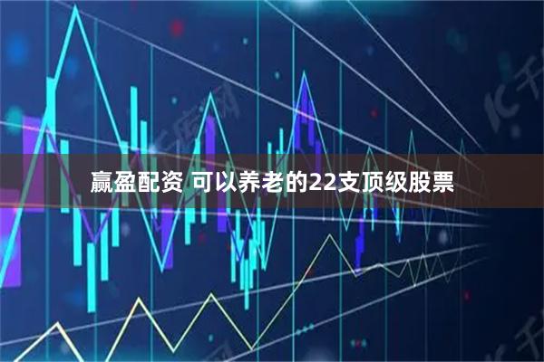 赢盈配资 可以养老的22支顶级股票