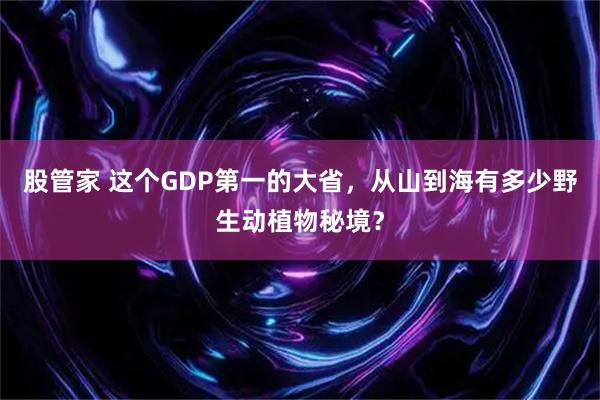 股管家 这个GDP第一的大省，从山到海有多少野生动植物秘境？