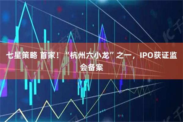 七星策略 首家！“杭州六小龙”之一，IPO获证监会备案