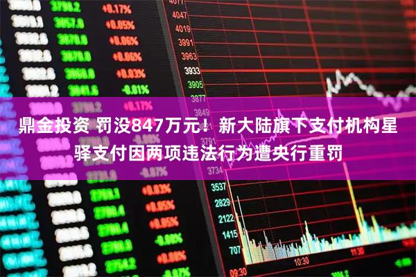 鼎金投资 罚没847万元！新大陆旗下支付机构星驿支付因两项违法行为遭央行重罚
