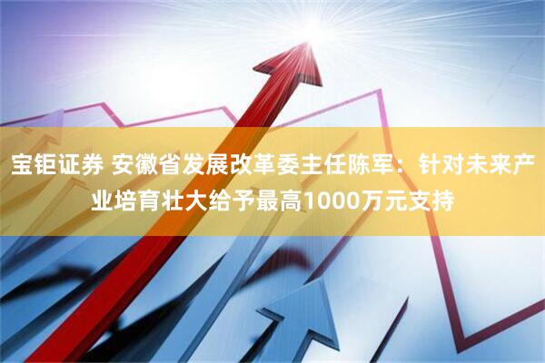 宝钜证券 安徽省发展改革委主任陈军：针对未来产业培育壮大给予最高1000万元支持
