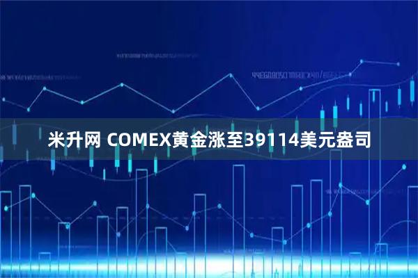 米升网 COMEX黄金涨至39114美元盎司